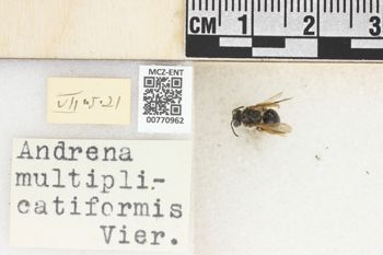 Media type: image;   Entomology 770962 Aspect: Labels